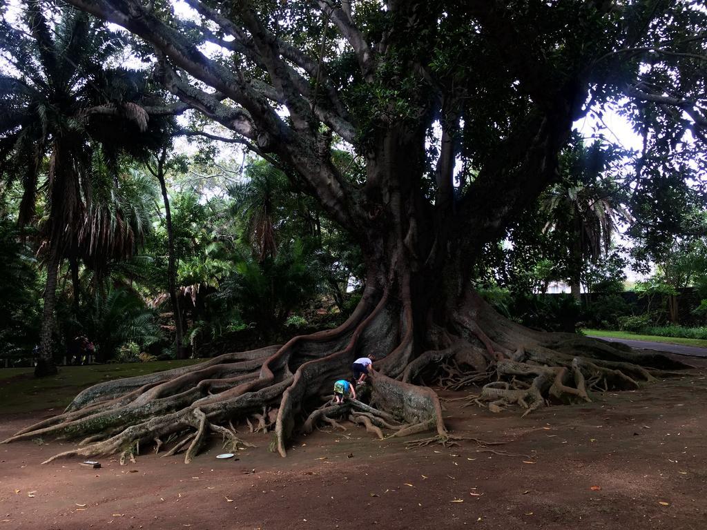 Garden Ponta Delgada (Sao Miguel)