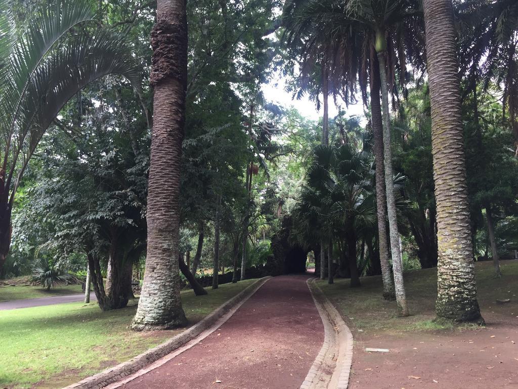 Garden Apartment, Great For Couple - Apartamento Ponta Delgada